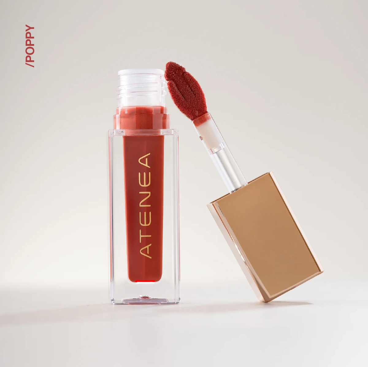 GLOSS ATENEA