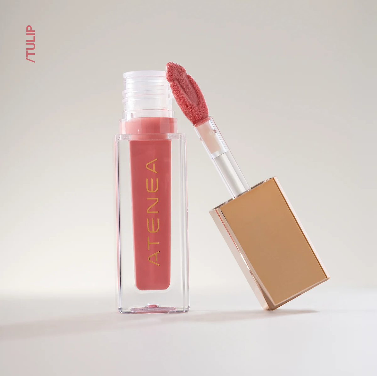 GLOSS ATENEA