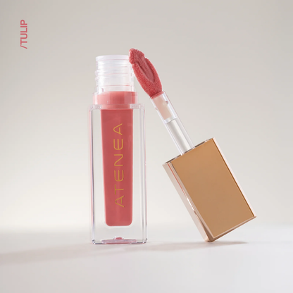 GLOSS ATENEA