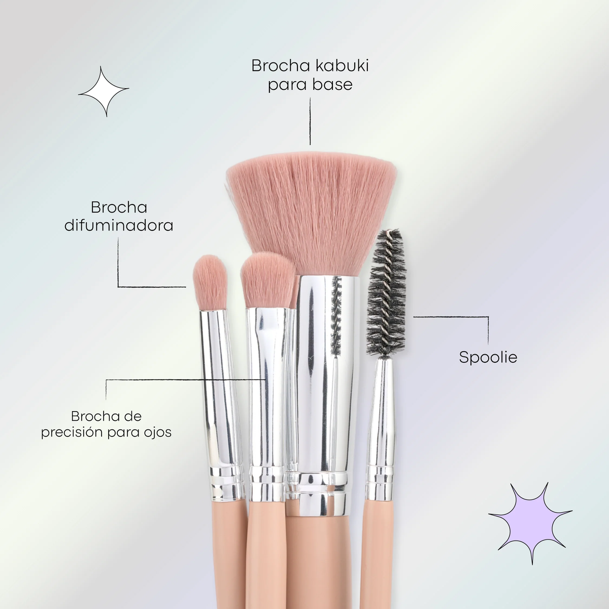 KIT DE BROCHAS ROSY LULA