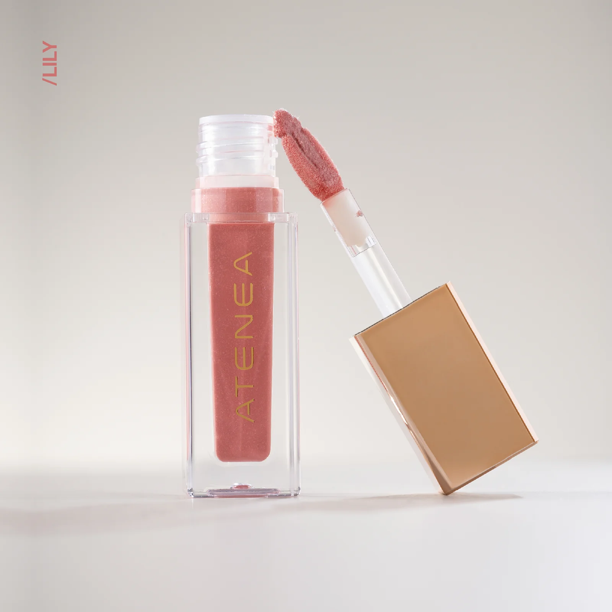 GLOSS ATENEA
