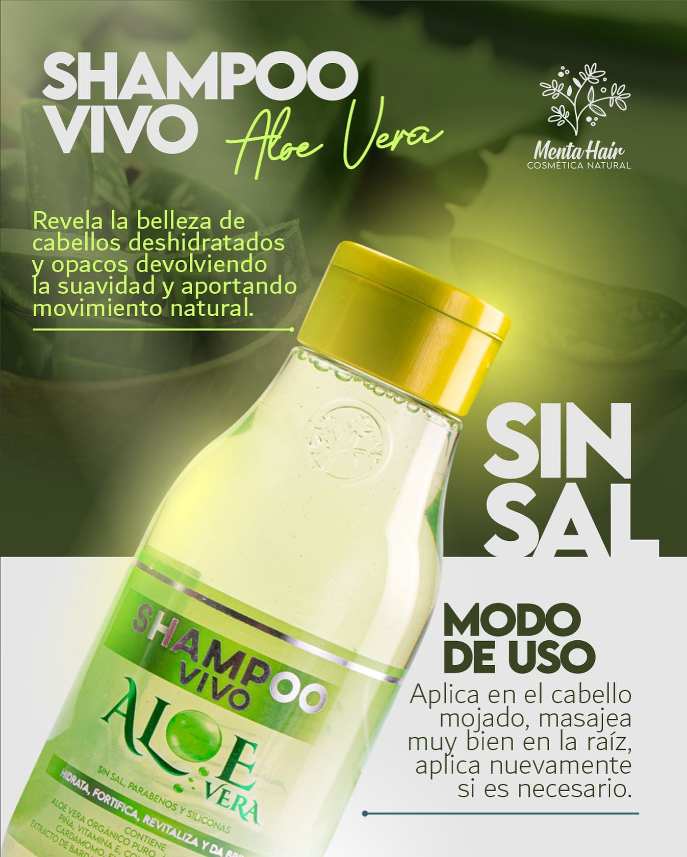 SHAMPO ALOE VERA MENTA HAIR X500