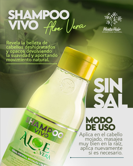 SHAMPO ALOE VERA MENTA HAIR X500